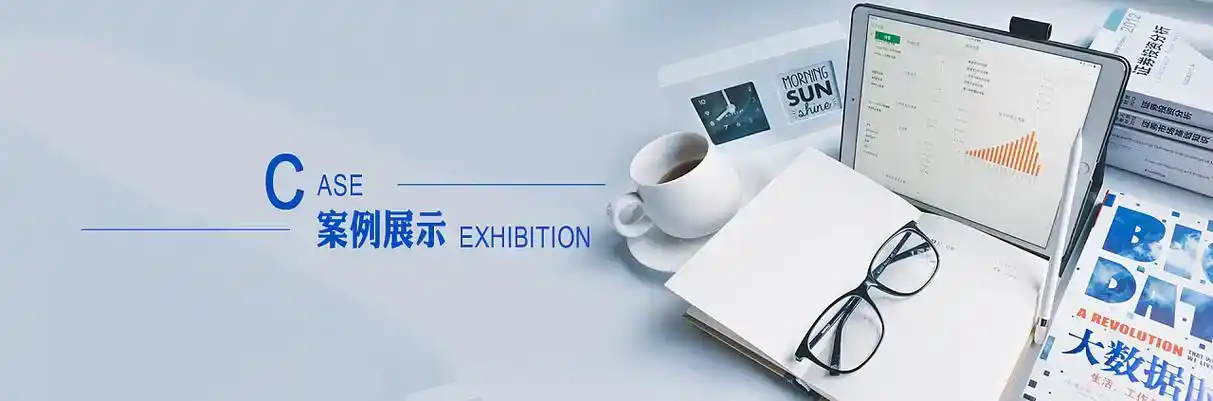 应县软件开发